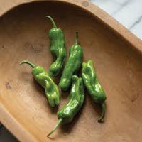 Shishito – Organic Shishito Pepper Seed