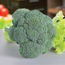 Imperial – Broccoli Seed