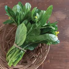 Green 70 D Improved – Choy Sum Seeds