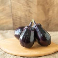 E-Tender – Water Eggplant Seeds
