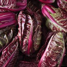 Luna Rossa – Radicchio Seed