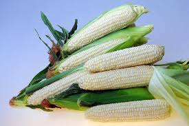 Eden RMN – Corn Seed