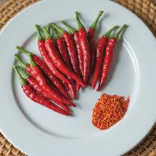 Bottle Rocket – Cayenne Pepper Seed