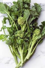 Rapini