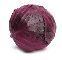 Primero – Organic Cabbage Seed