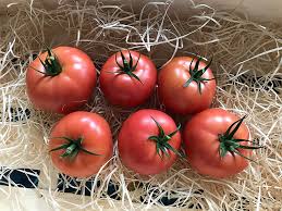 Enroza – Organic Tomato Seed