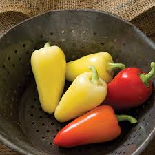 Havasu Pepper Seed (Santa Fe Pepper Seed)