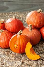 Pumpkin- Golden Nugget