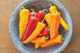 Escamillo – Organic Corno di Toro Pepper Seed