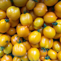 Citrine – Organic Tomato Seed