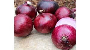 Redwing – Onion Seed