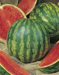 Crimson Sweet – Watermelon Seed