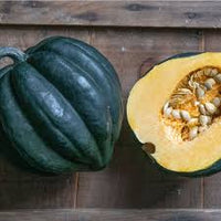 Night Shift – Organic Acorn Squash Seed