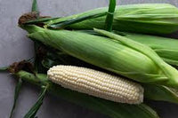 SS3778R – Corn Seed