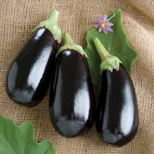 Nadia – Eggplant Seed