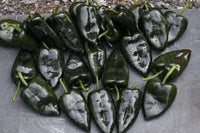 Baron – Ancho Pepper Seed