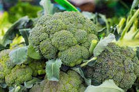 Broccoli Anastya Vegetable Seeds