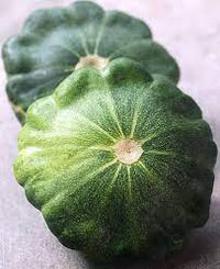G-Star – Organic Patty Pan Squash Seed