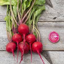 Chioggia Guardsmark – Organic Beet