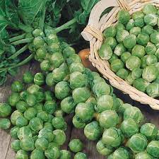 Brussels Sprouts- Long Island Improved