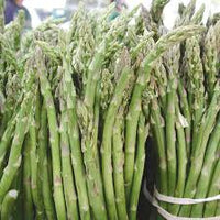 Jersey Knight – Asparagus Seed