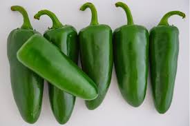 Pantera – Jalapeño Pepper Seed