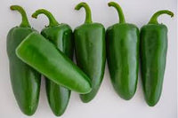 Pantera – Jalapeño Pepper Seed