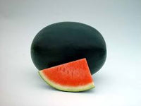 Chubbiness – Watermelon Seed