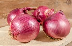 Red Rock – Onion Seed