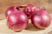 Red Rock – Onion Seed