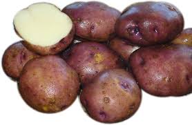 Caribe – Organic Seed Potatoes
