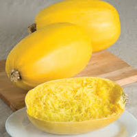 Spaghetti Squash – Vegetable Seed