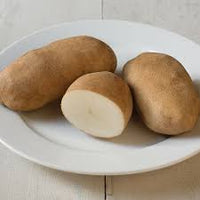 Caribou Russet – Organic Seed Potatoes