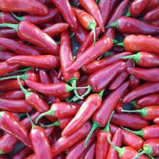 Rawit Chili Seeds for Planting - Heirloom, Non-GMO, High-Yield Hot Pepper Seeds for Home Garden