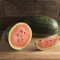Dark Belle – Watermelon Seed