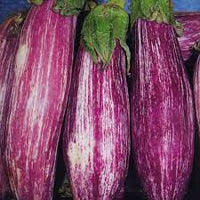Eggplant- Tsakoniki