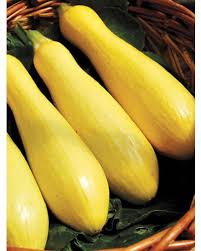 Multipik – Yellow Summer Squash Seed