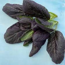 Red Cloud – Red Tatsoi Seeds