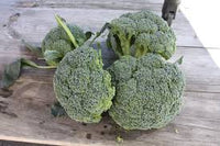 Emerald Crown – Broccoli Seed