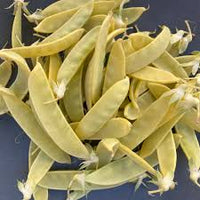 Golden Sweet – Yellow Snow Pea Seeds