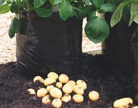 Potato Grow Bag