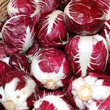 Chicory Rossa Di Verona Vegetable Seeds
