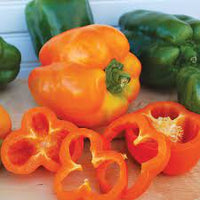 Capsicum Orange Imported Vegetable Seeds