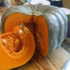 Pumpkin- Queensland Blue