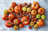 Heirloom Big Mixed Tomato Vegetable Seeds for Planting - Non-GMO Garden Seeds