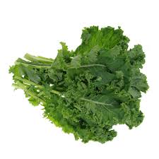 Kalebration – Kale Seed Mix for Baby Kale