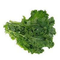 Kalebration – Kale Seed Mix for Baby Kale