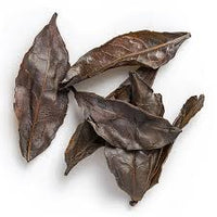 Powerhouse – Organic Lettuce Seed