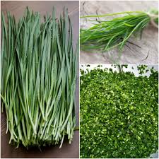 Bunching Onion- Fuyuyo