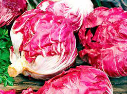 Indigo Hybrid Radicchio Seeds